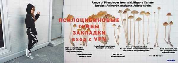 мяу мяу мука Новодвинск