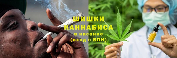 стаф Дмитровск