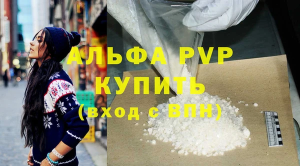 стаф Дмитровск