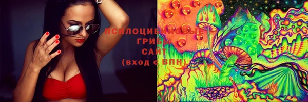 бутират Дмитриев