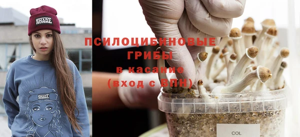 бутират Дмитриев