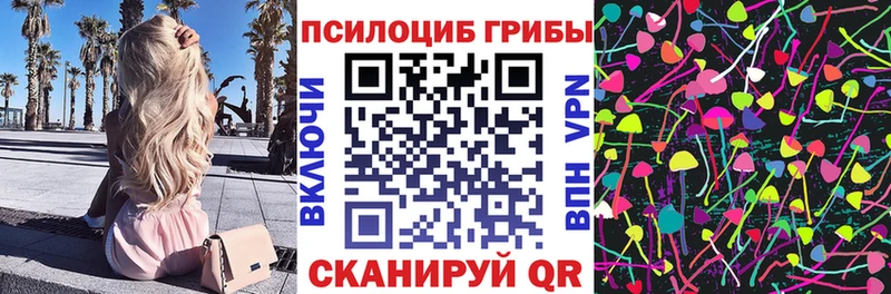 где найти   Урюпинск  Псилоцибиновые грибы прущие грибы 