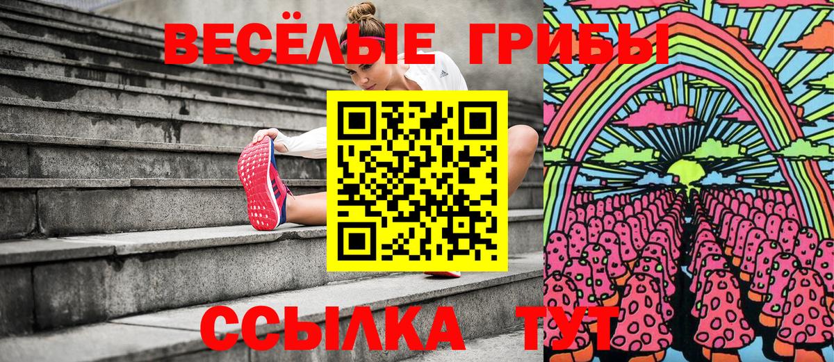 Псилоцибиновые грибы Psilocybine cubensis  Вход с VPN  Урюпинск 