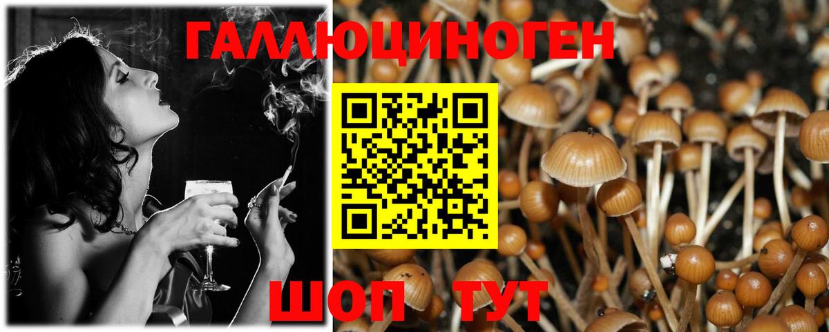 Псилоцибиновые грибы Psilocybe Урюпинск